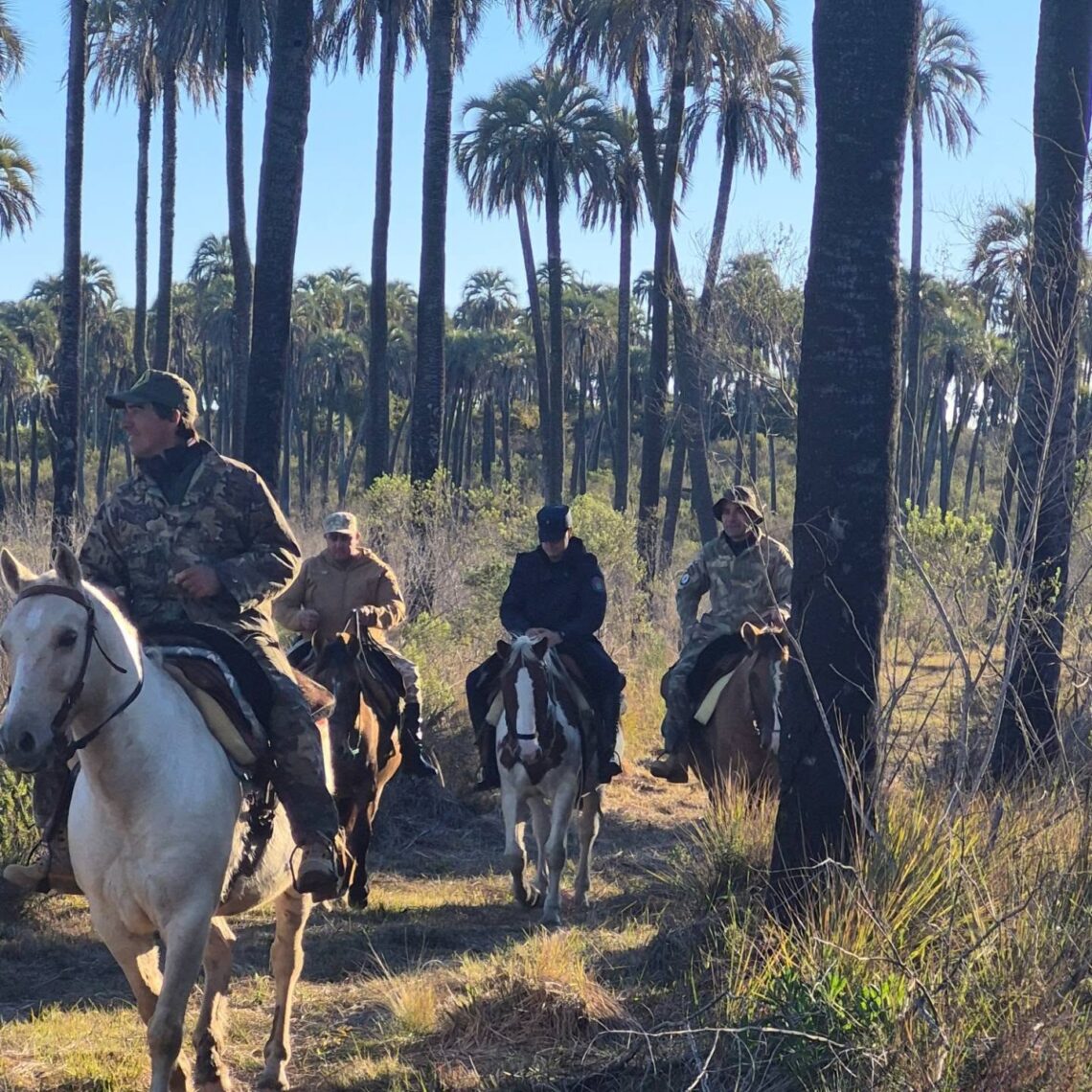 Operativo de invierno en el Parque Nacional El Palmar: controlaron a más de 90 personas y no hubo infracciones