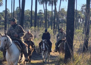 Operativo de invierno en el Parque Nacional El Palmar: controlaron a más de 90 personas y no hubo infracciones