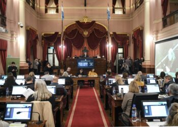 Sesión especial: ingresó la reforma previsional y avanzó un proyecto de incentivo al comercio