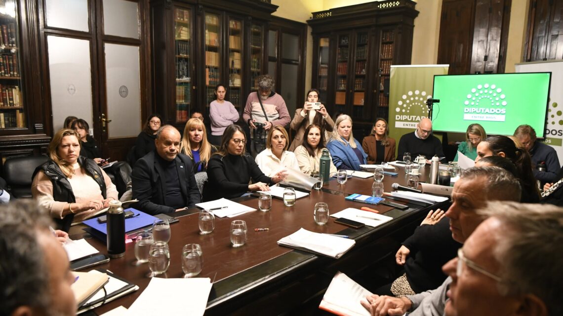Continuó el tratamiento legislativo del proyecto de reforma previsional