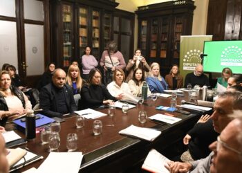 Continuó el tratamiento legislativo del proyecto de reforma previsional