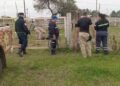 Alerta en la Ruta 4: Retienen animales sueltos en un operativo conjunto en Los Charrúas