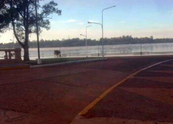 Creciente del río Uruguay: Restringen el tránsito vehicular y peatonal en sectores de la Costanera