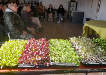 Personas mayores participaron de una capacitación sobre huertas de invierno y alimentación saludable