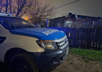 Intervención por violencia de género terminó con el secuestro de 255 plantas de marihuana
