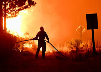 Brigadas entrerrianas asisten en el combate de incendios en la zona del Delta