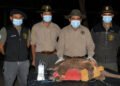 Segundo tatú carreta monitoreado en el Parque Nacional El Impenetrable