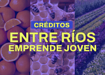 Abrió la convocatoria del programa Entre Ríos Emprende Joven