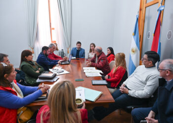 Avances en la modificación de la Ley de Comunas en Entre Ríos
