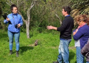 Convocan a empresas entrerrianas a participar de una licitación nacional para equipamiento forestal