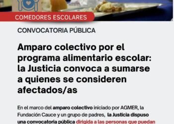 Amparo colectivo por el programa alimentario escolar: la Justicia convoca a quienes puedan estar alcanzados