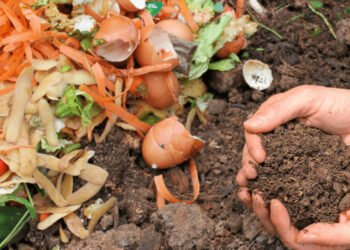 Nueva jornada de compostaje y entrega de plantines a adultos mayores