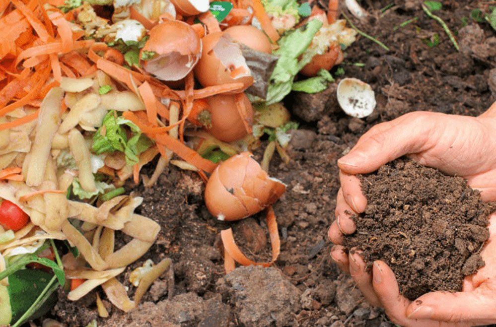 Nueva jornada de compostaje y entrega de plantines a adultos mayores