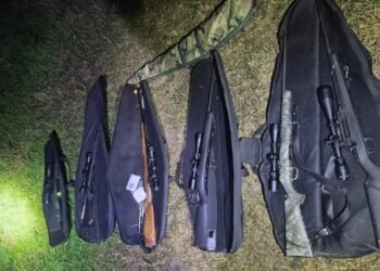 Desbaratan una red de caza furtiva en Islas del Ibicuy