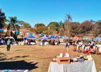Feria paseo del río en el Parque San Carlos