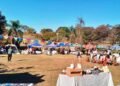La Feria Paseo Del Río llega al Parque San Carlos