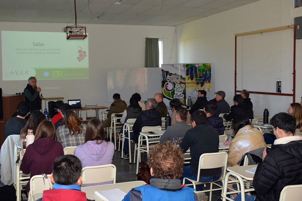 Entre Ríos fortalece la vitivinicultura con capacitación y asesoramiento intrafinca