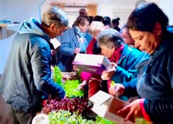 Continúan las charlas sobre huertas orgánicas “cultivando vida y experiencias”