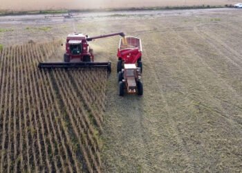Estadísticas revelan que la provincia logró el mejor rendimiento agrícola de los últimos 25 años