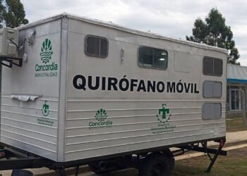 El programa municipal de esterilizaciones gratuitas suma nuevas fechas en los barrios Los Pájaros y San Martín