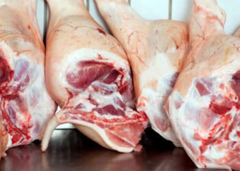 Bromatología brinda recomendaciones para evitar la triquinosis