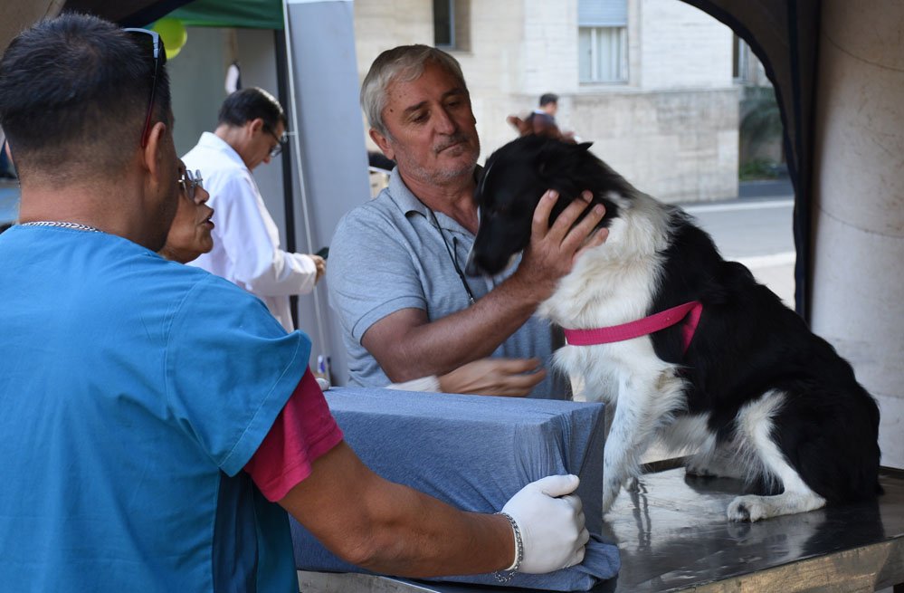 El programa de esterilizaciones atenderá en el Barrio San Martín