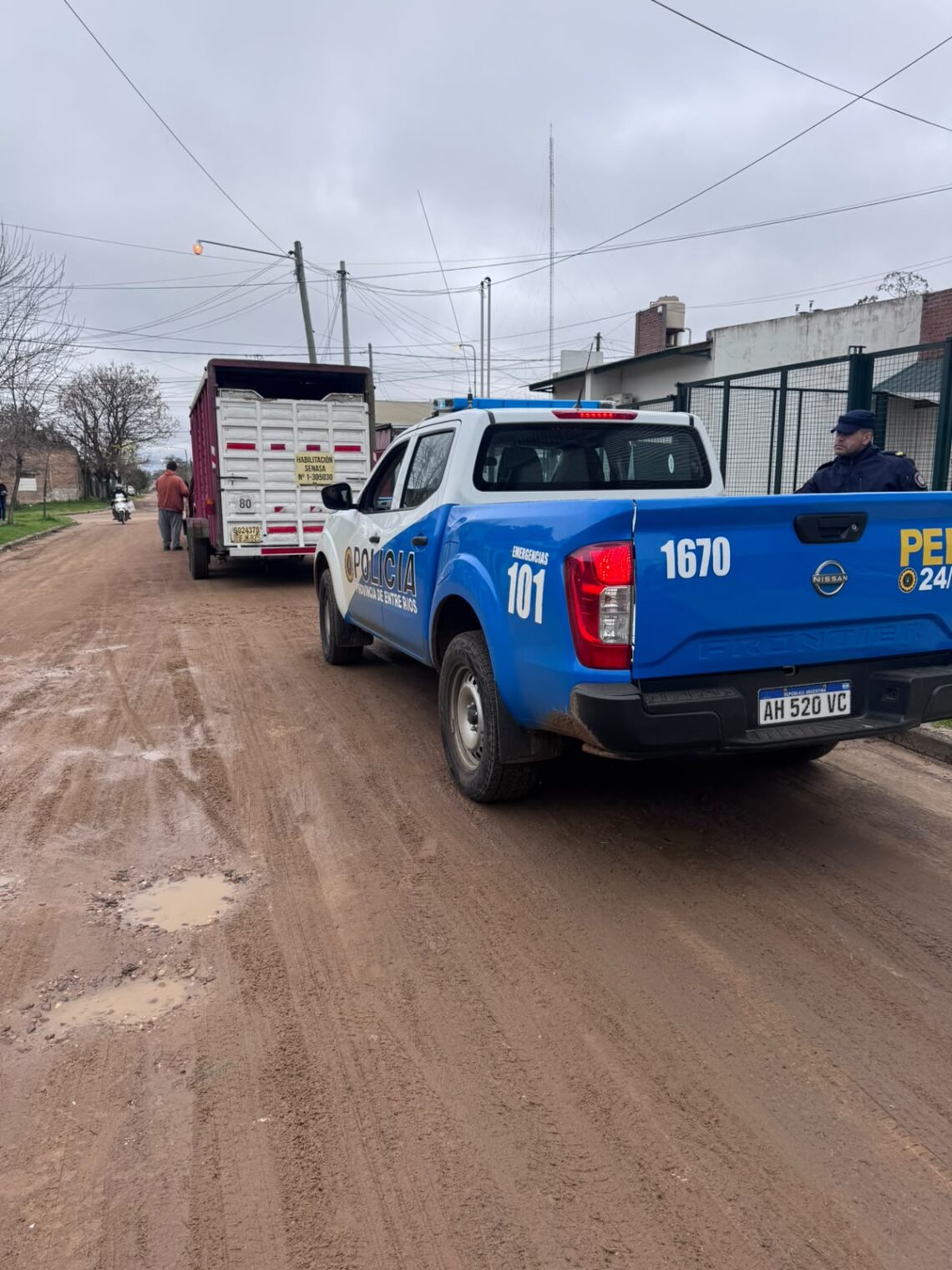 Rescataron a un caballo en mal estado de salud en calle Ituzaingó por presunto maltrato animal