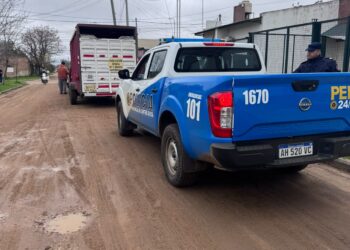 Rescataron a un caballo en mal estado de salud en calle Ituzaingó por presunto maltrato animal