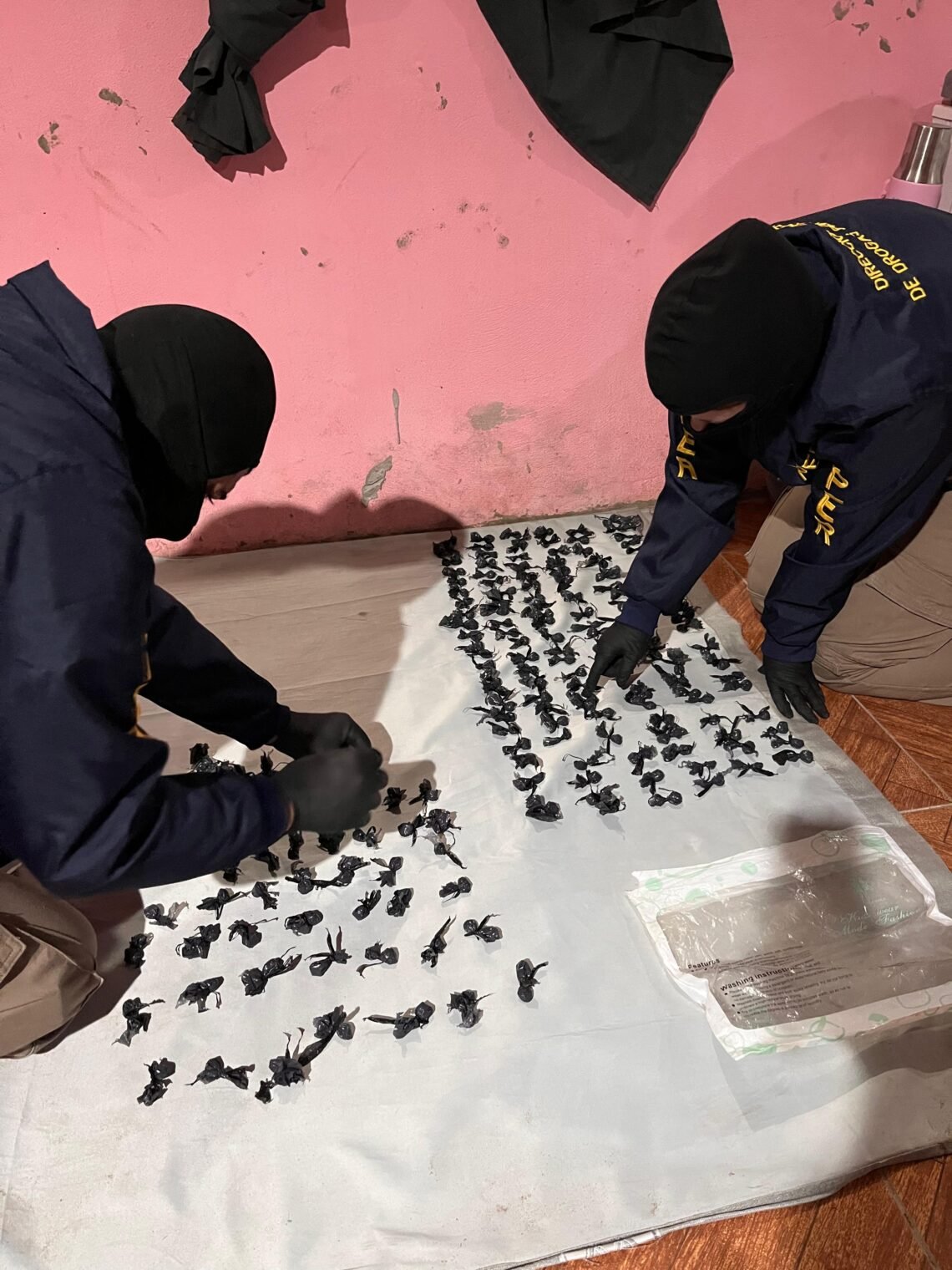 Golpe al narcomenudeo en Concordia: 8 detenidos y 240 dosis de droga secuestradas en múltiples allanamientos