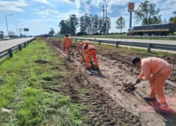 Autovía del Mercosur realiza tareas de limpieza y mantenimiento en el acceso sur a Colón