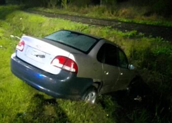 Un auto terminó en una zanja en la Rotonda Islas Malvinas tras esquivar un perro