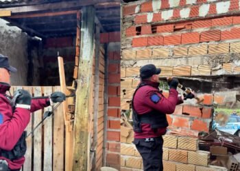 Otro búnker del narcotráfico fue derrumbado