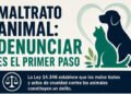 CONCIENCIA ANIMAL: ¿Qué hacer ante casos de maltrato?
