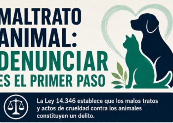 CONCIENCIA ANIMAL: ¿Qué hacer ante casos de maltrato?