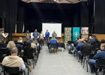 Entre Ríos fortalece la articulación para el control del picudo rojo de las palmeras