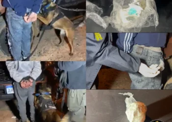 Operativo Saturación en Concordia: secuestraron 20 gramos de cocaína, una moto y detuvieron a un hombre