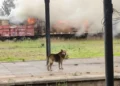 Incendio en la Estación Central: tres vagones fueron alcanzados por el fuego en la playa de maniobras