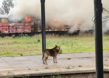 Incendio en la Estación Central: tres vagones fueron alcanzados por el fuego en la playa de maniobras