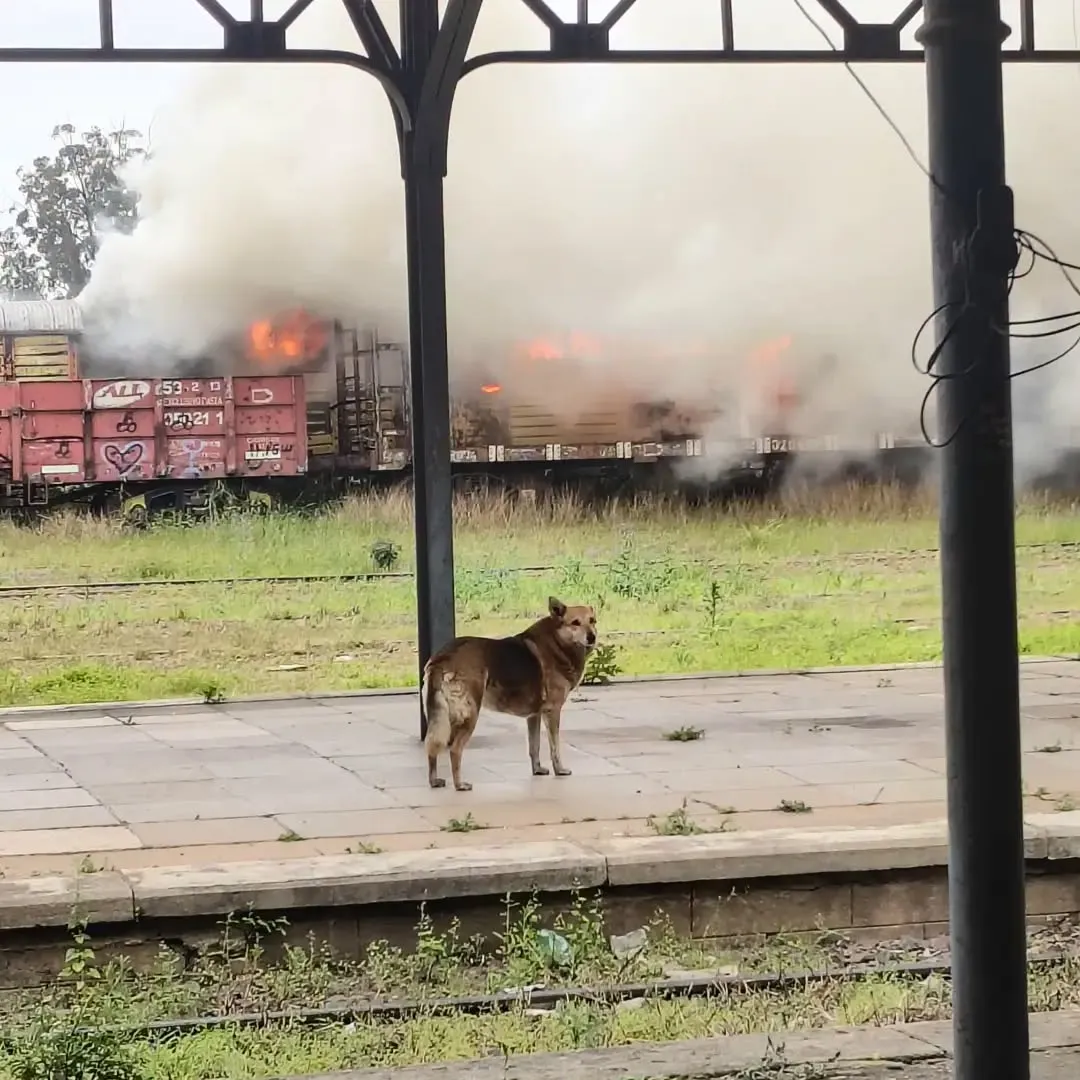 Incendio en la Estación Central: tres vagones fueron alcanzados por el fuego en la playa de maniobras