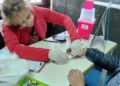 Prevención de infecciones de transmisión sexual en las escuelas