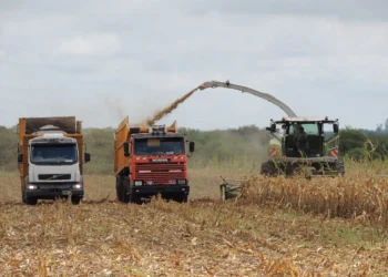 La provincia puso en vigencia el nuevo régimen ambiental para la actividad productiva de Entre Ríos
