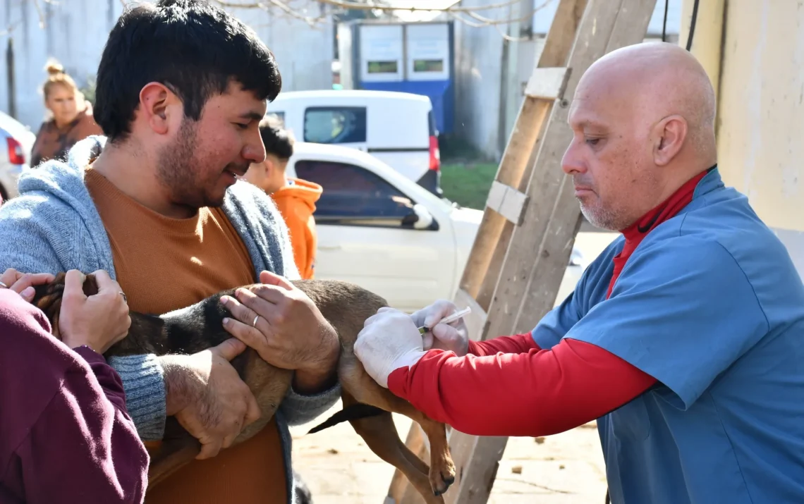 El programa de esterilizaciones quirúrgicas gratuitas de mascotas se traslada al barrio Centenario