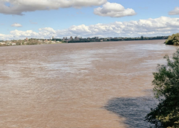 Altura del río uruguay frente al puerto de Concordia