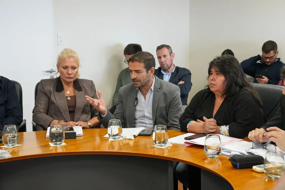 Blanzaco expuso ante el Senado el trabajo que desarrolla la provincia en materia de salud mental