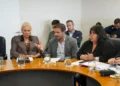 Blanzaco expuso ante el Senado el trabajo que desarrolla la provincia en materia de salud mental