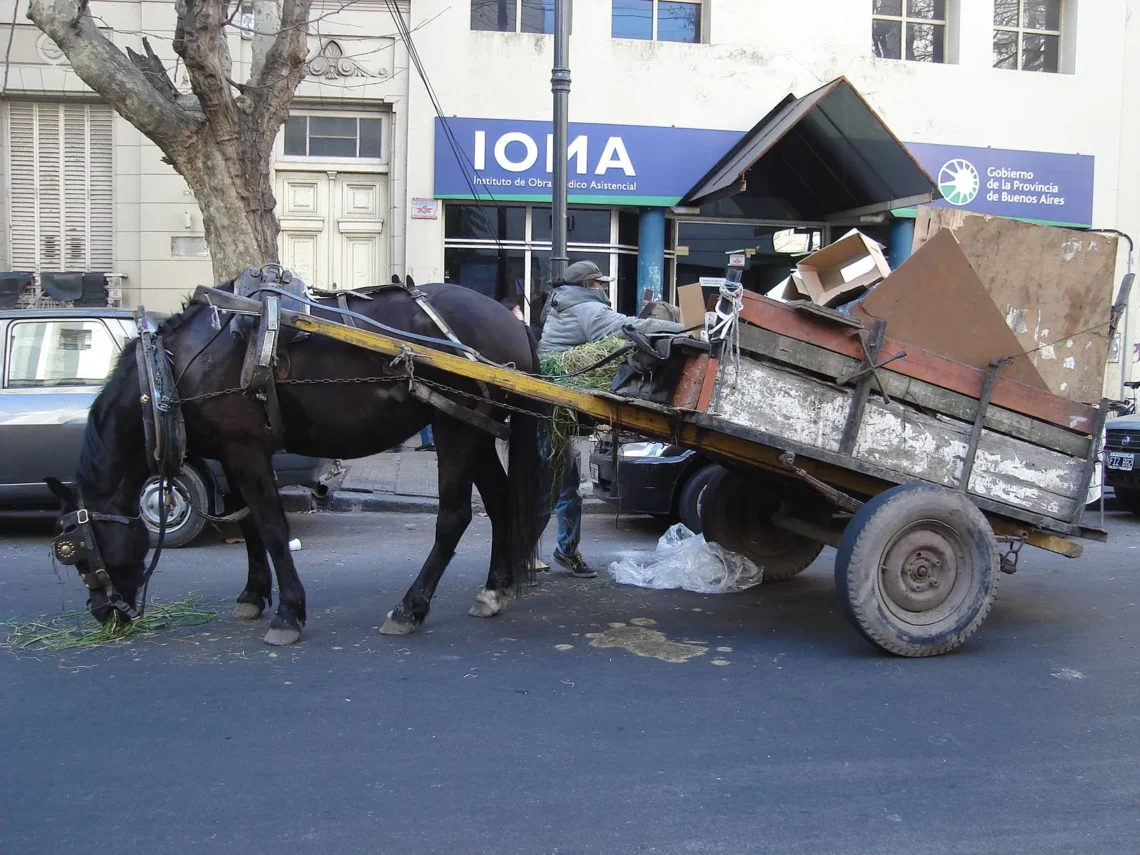 Vecinos de barrio San Martín piden que le devuelvan su carro y su caballo a un trabajador