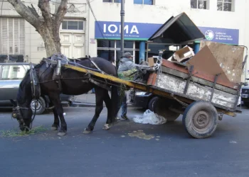 Vecinos de barrio San Martín piden que le devuelvan su carro y su caballo a un trabajador