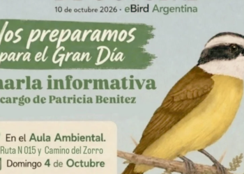 Concordia: habrá una charla informativa para participar del gran día mundial de avistaje de aves