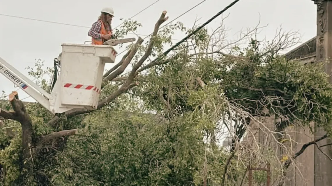 Un corte de fibra troncal tras el temporal dejó sin servicio a más de 300 usuarios y al Hospital Felipe Heras