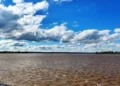 Altura del río uruguay frente al puerto de Concordia